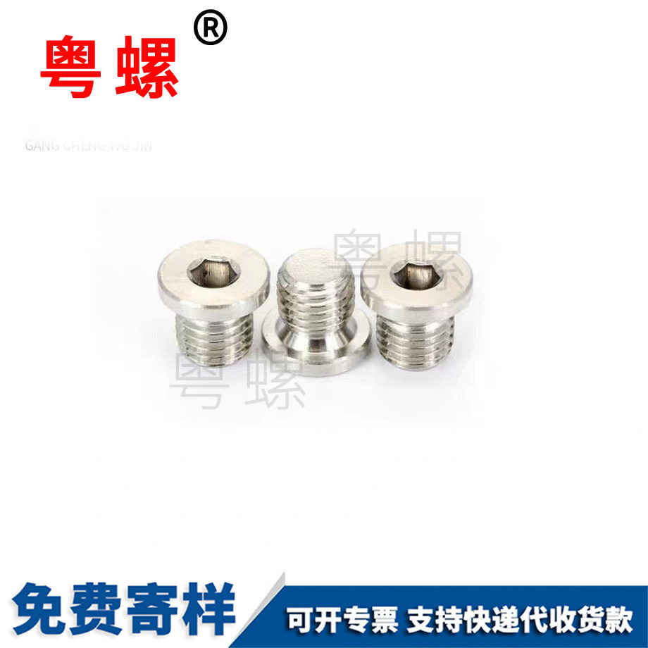 定制內六角帶邊福建堵頭