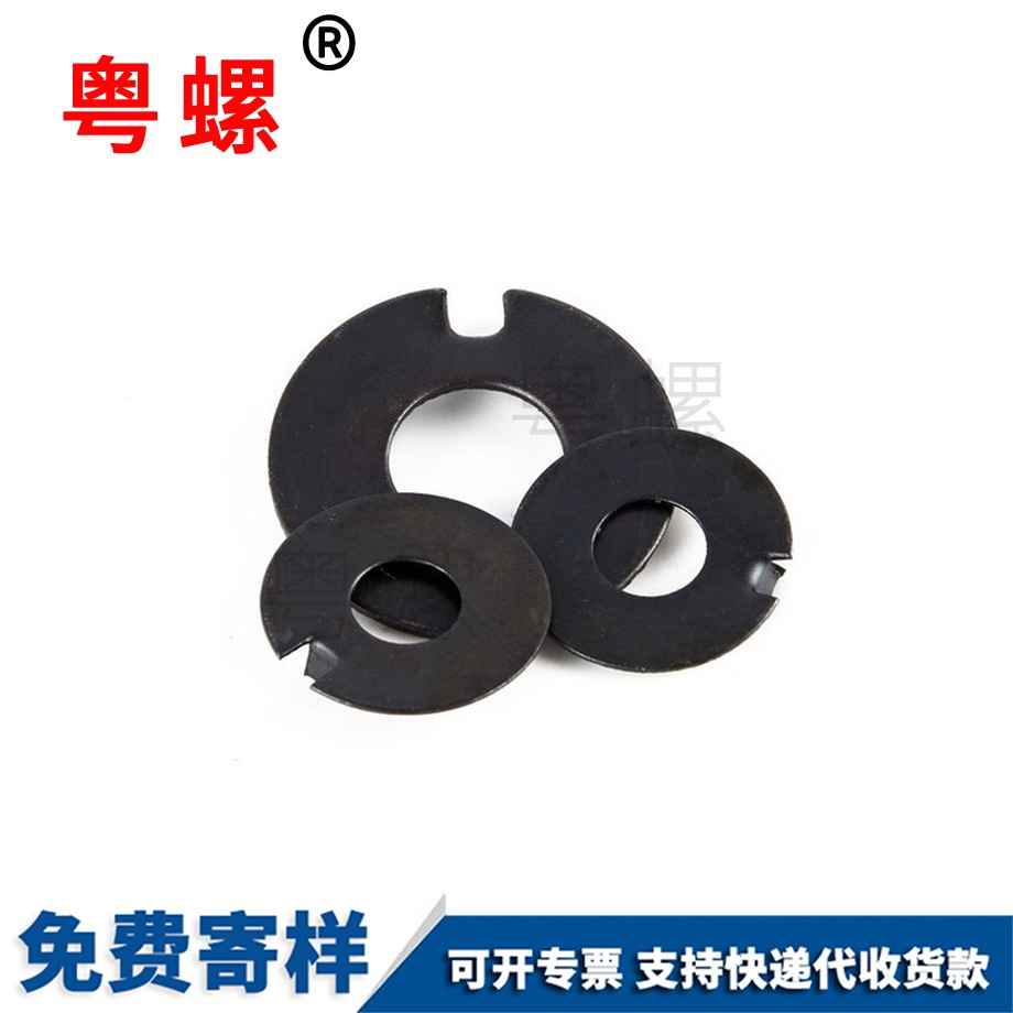 訂制外舌紅河止動墊圈