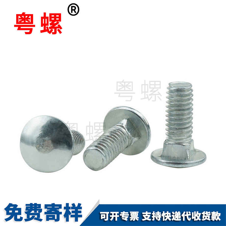生產(chǎn)鍍鋅威海馬車螺絲
